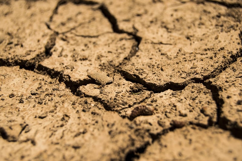 Soil Testing Tips