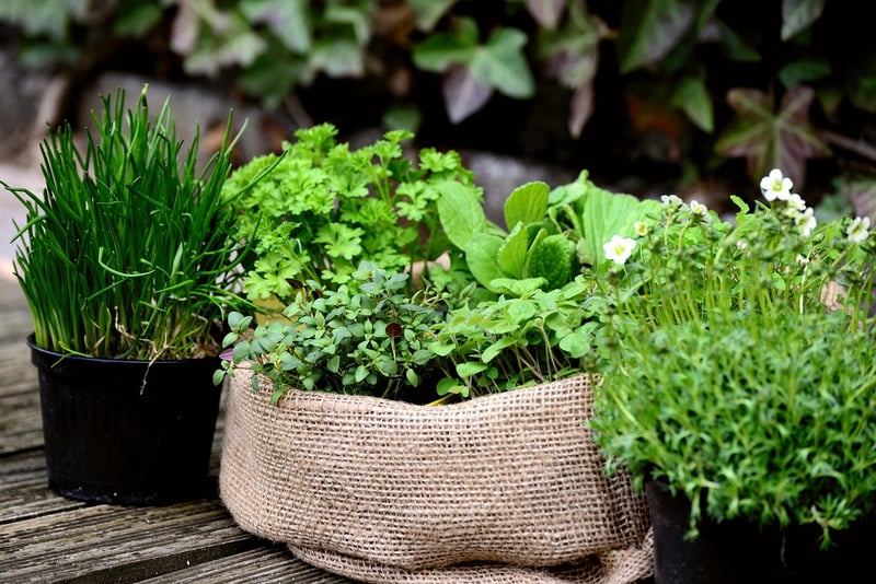 Herb Spiral